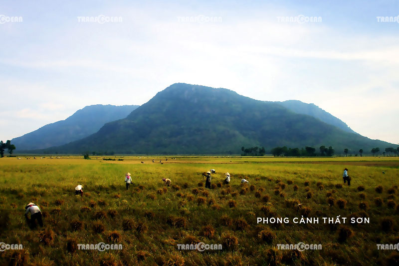 TOUR DU LỊCH ĐỒNG BẰNG SÔNG CỬU LONG 8