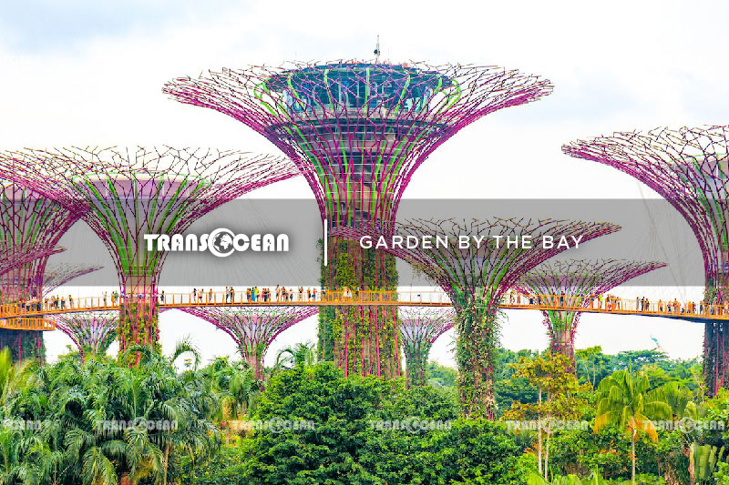 TOUR SINGAPORE - MALAYSIA | MỘT HÀNH TRÌNH HAI QUỐC GIA
