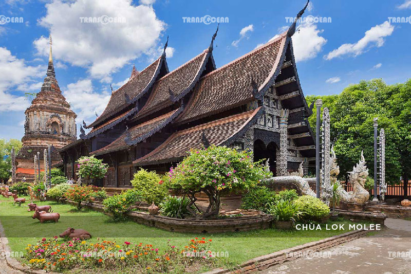 TOUR THÁI LAN 2020 | CHIANG MAI - CHIANG RAI 12