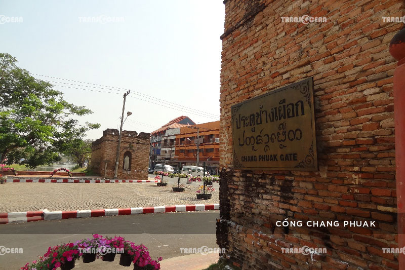 TOUR THÁI LAN 2020 | CHIANG MAI - CHIANG RAI 13