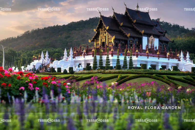 TOUR THÁI LAN 2020 | CHIANG MAI - CHIANG RAI 14