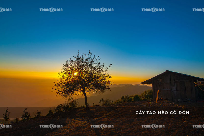 TOUR SĂN MÂY TÀ XÙA