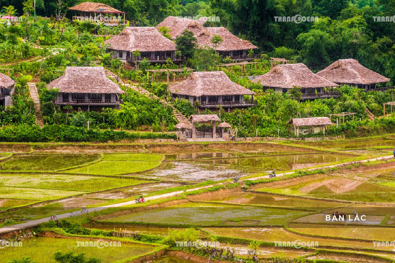 TOUR DU LỊCH MỘC CHÂU MÙA MẬN CHÍN 2