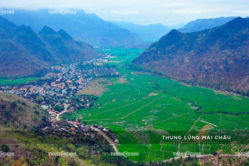 TOUR DU LỊCH MỘC CHÂU MÙA MẬN CHÍN 3