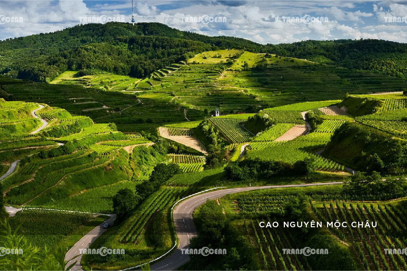 TOUR DU LỊCH MỘC CHÂU MÙA MẬN CHÍN 4