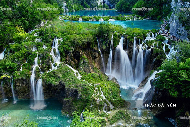 TOUR DU LỊCH MỘC CHÂU MÙA MẬN CHÍN 8
