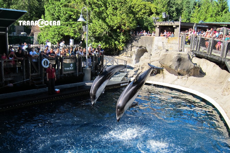 CANADA | BỜ TÂY CANADA - VANCOUVER
