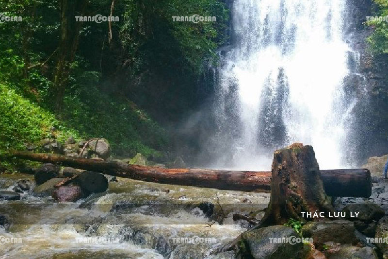 TOUR TÂY NGUYÊN | TÀ ĐÙNG – LODGE RESORT 2N2Đ 5