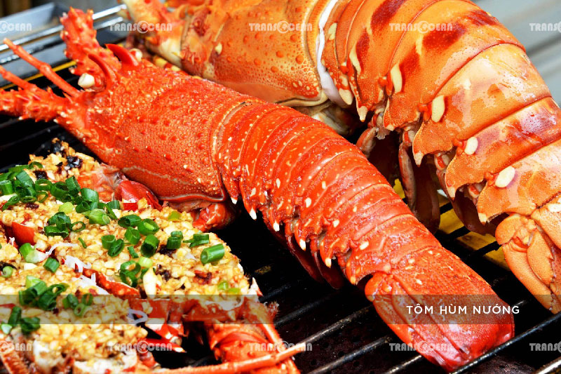 TOUR BÌNH BA | KHÁM PHÁ KHÔNG GIAN SA MẠC BIỂN ĐẢO 4