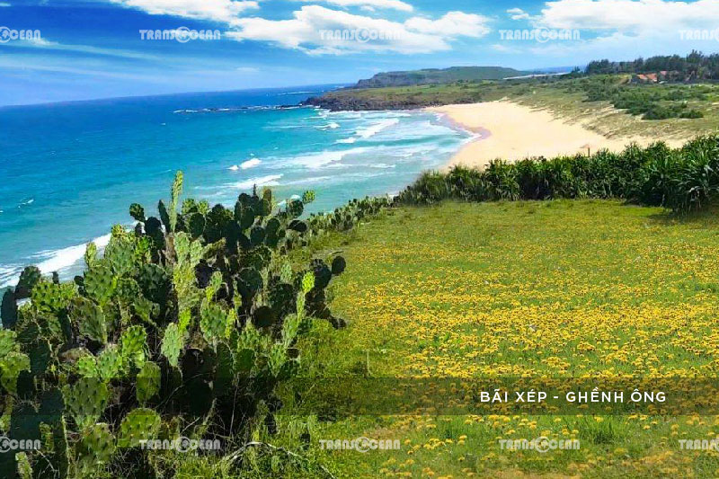 TOUR BÌNH ĐỊNH – PHÚ YÊN – CHỐN BÌNH YÊN 4N3Đ 6