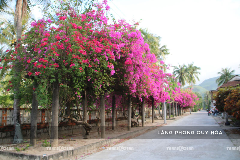 TOUR BÌNH ĐỊNH – PHÚ YÊN – CHỐN BÌNH YÊN 4N3Đ 12