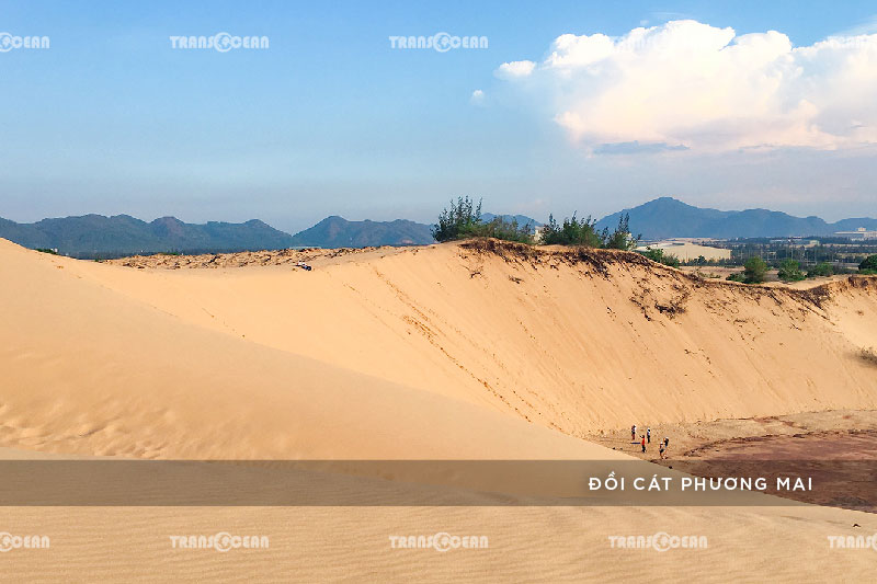 TOUR QUY NHƠN – TÂY SƠN – HẦM HÔ 3N2Đ
