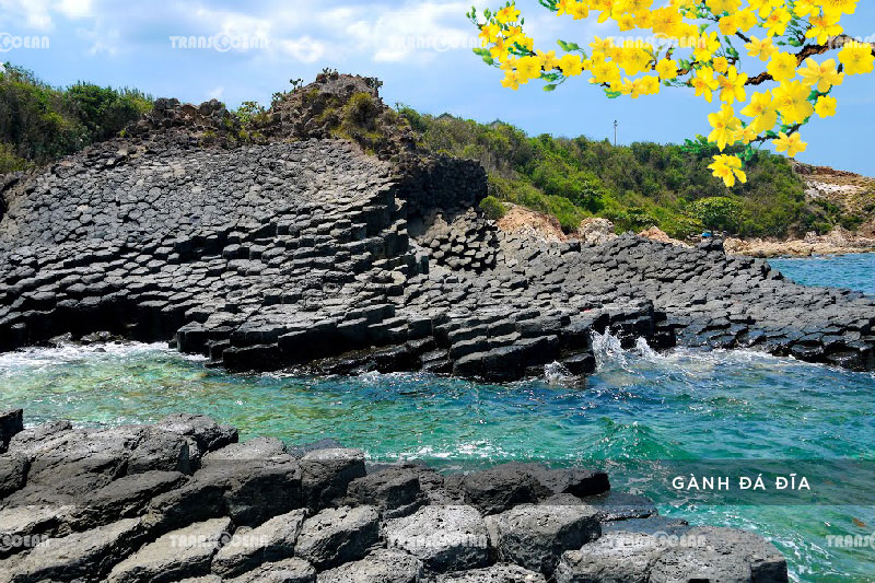 TOUR TẾT 2021 | PHÚ YÊN – QUY NHƠN – KỲ CO – EO GIÓ 2