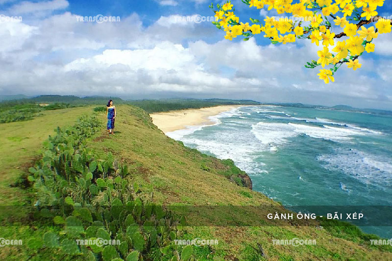 TOUR TẾT 2021 | PHÚ YÊN – QUY NHƠN – KỲ CO – EO GIÓ 3