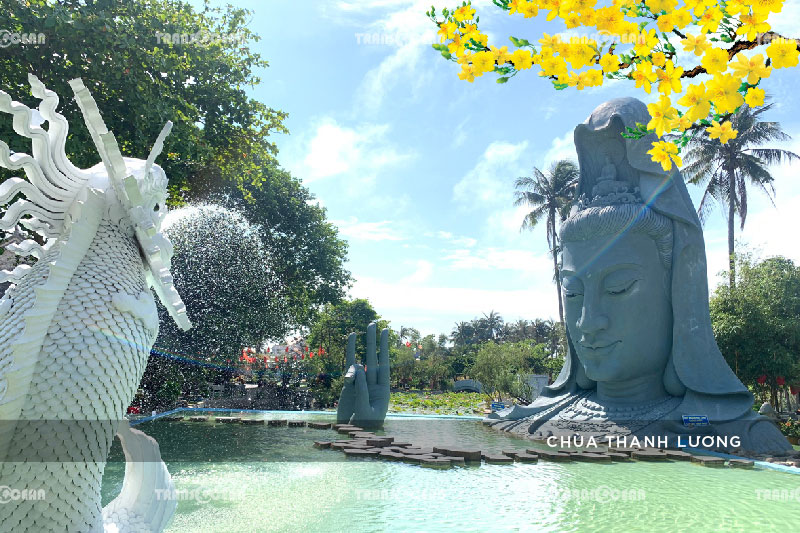TOUR TẾT 2021 | PHÚ YÊN – QUY NHƠN – KỲ CO – EO GIÓ 4