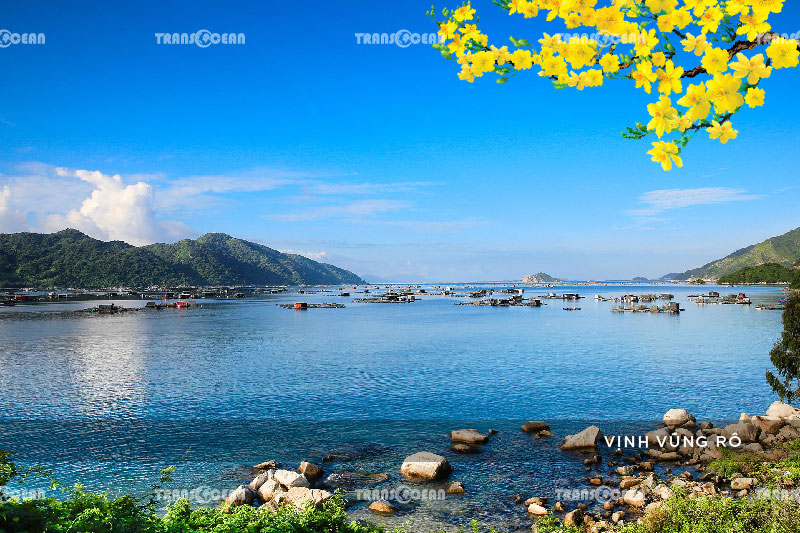 TOUR TẾT 2021 | PHÚ YÊN – QUY NHƠN – KỲ CO – EO GIÓ 5
