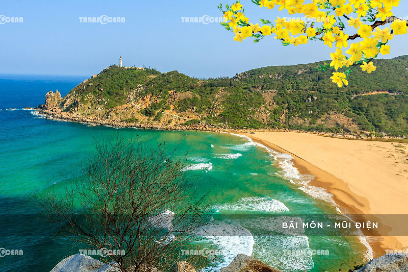 TOUR TẾT 2021 | PHÚ YÊN – QUY NHƠN – KỲ CO – EO GIÓ 6