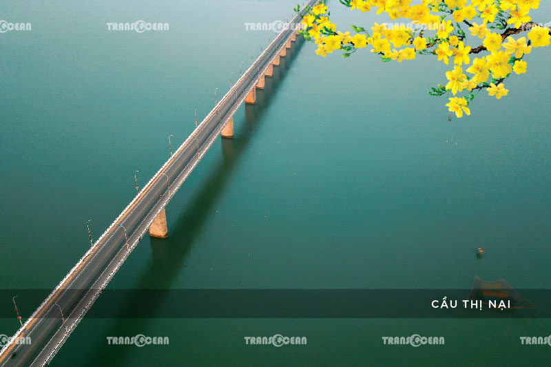 TOUR TẾT 2021 | PHÚ YÊN – QUY NHƠN – KỲ CO – EO GIÓ 7