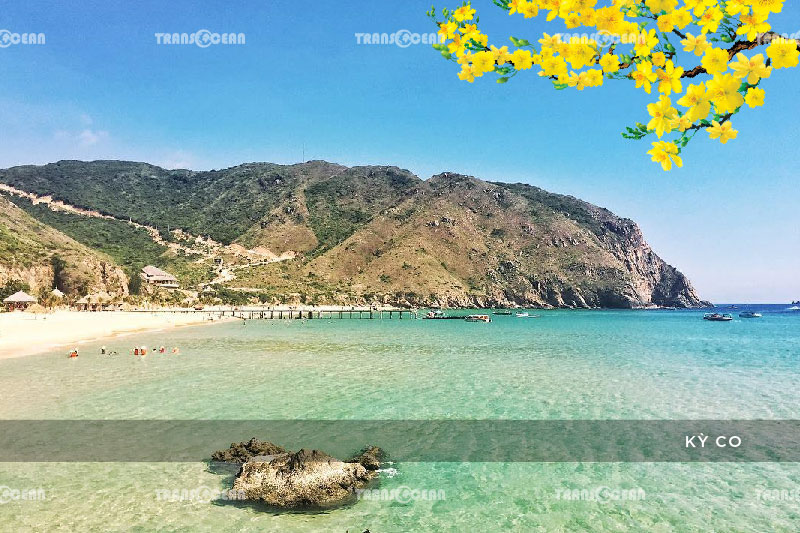 TOUR TẾT 2021 | PHÚ YÊN – QUY NHƠN – KỲ CO – EO GIÓ 8