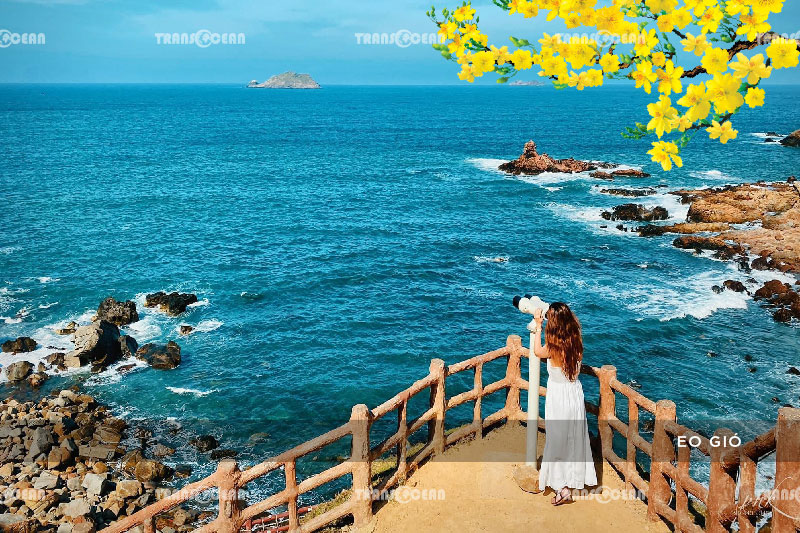 TOUR TẾT 2021 | PHÚ YÊN – QUY NHƠN – KỲ CO – EO GIÓ 9