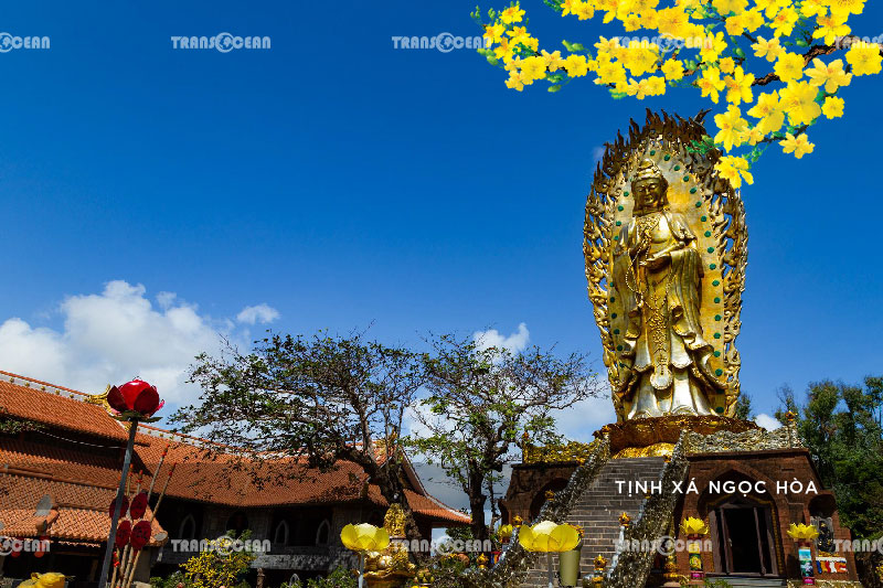 TOUR TẾT 2021 | PHÚ YÊN – QUY NHƠN – KỲ CO – EO GIÓ 10