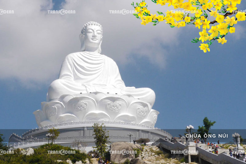 TOUR TẾT 2021 | PHÚ YÊN – QUY NHƠN – KỲ CO – EO GIÓ 14