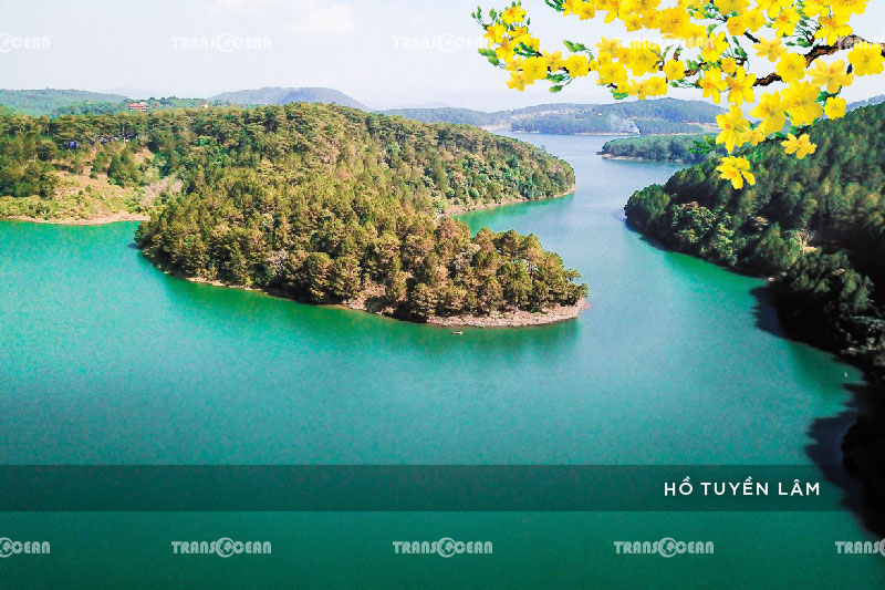 TOUR TẾT 2021 | ĐÀ LẠT – HỒ TUYỀN LÂM – XỨ SỞ THẦN TIÊN – WONDER RESORT 4 SAO 2