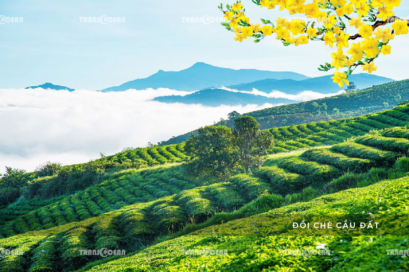 TOUR TẾT 2021 | ĐÀ LẠT – HỒ TUYỀN LÂM – XỨ SỞ THẦN TIÊN – WONDER RESORT 4 SAO 10