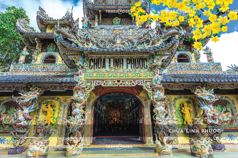 TOUR TẾT 2021 | ĐÀ LẠT – HỒ TUYỀN LÂM – XỨ SỞ THẦN TIÊN – WONDER RESORT 4 SAO 11