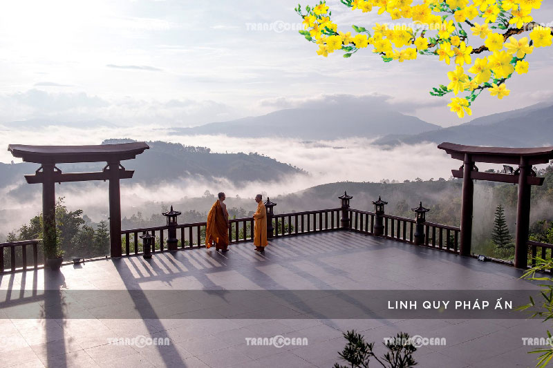 TOUR TẾT 2021 | ĐÀ LẠT – HỒ TUYỀN LÂM – XỨ SỞ THẦN TIÊN – WONDER RESORT 4 SAO 13