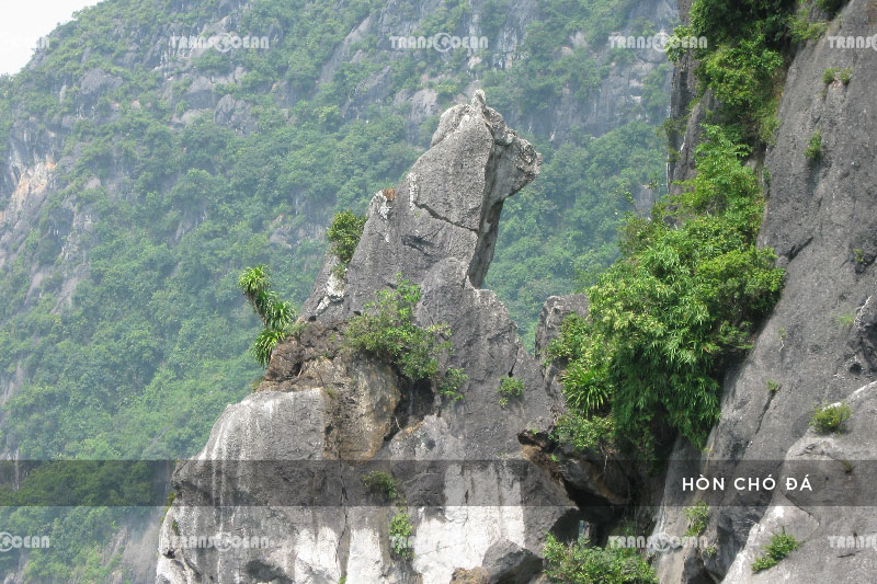 TOUR MIỀN BẮC | NÚI THIÊNG YÊN TỬ - HUYỀN DIỆU HẠ LONG 3N2D 18