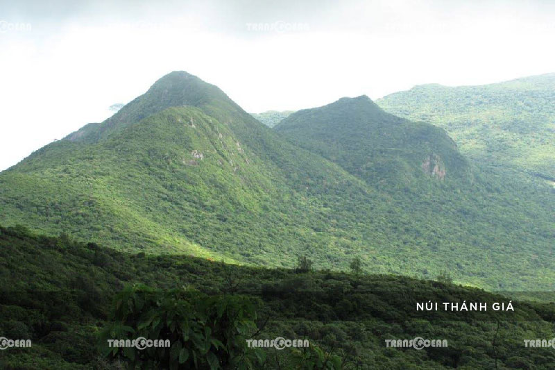 TOUR CÔN ĐẢO HUYỀN THOẠI 3N2Đ 19
