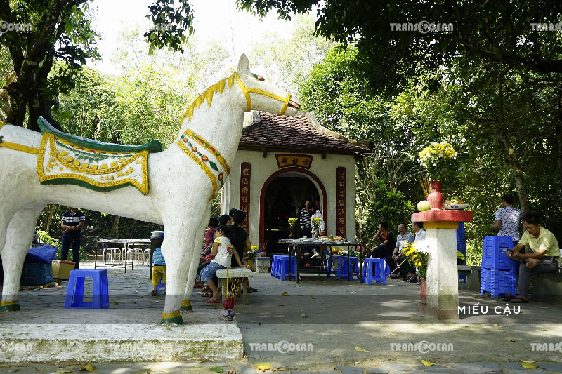 TOUR CÔN ĐẢO HUYỀN THOẠI 3N2Đ 17