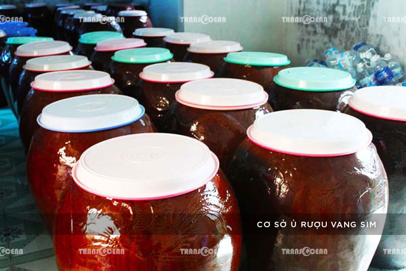 PHÚ QUỐC | TOUR 4 ĐẢO THIÊN ĐƯỜNG RẠCH VẸM MÙA SAO BIỂN 11