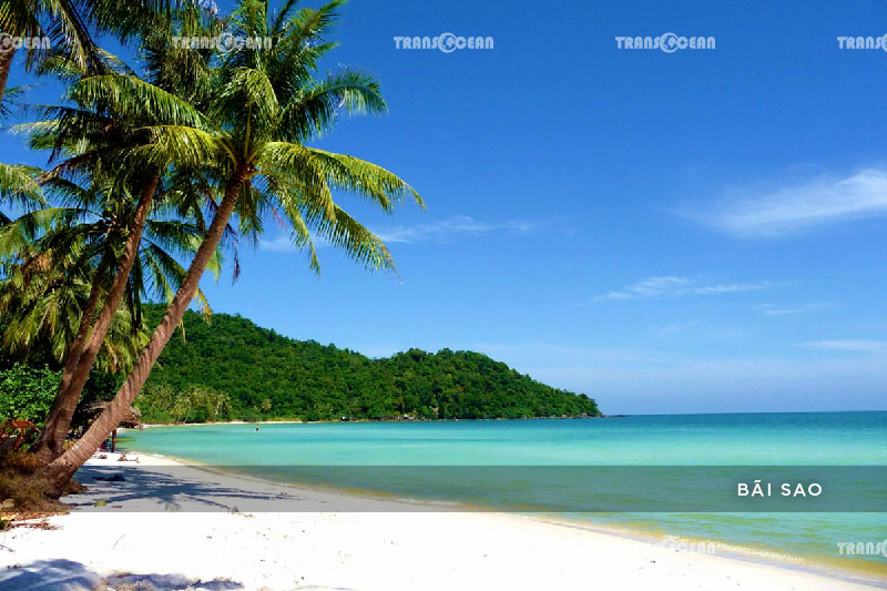 TOUR PHÚ QUỐC | TOUR 4 ĐẢO THIÊN ĐƯỜNG RẠCH VẸM MÙA SAO BIỂN 4N3Đ