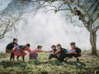 Plum flowers bloom "white sky" as beautiful as a fairy in Moc Chau