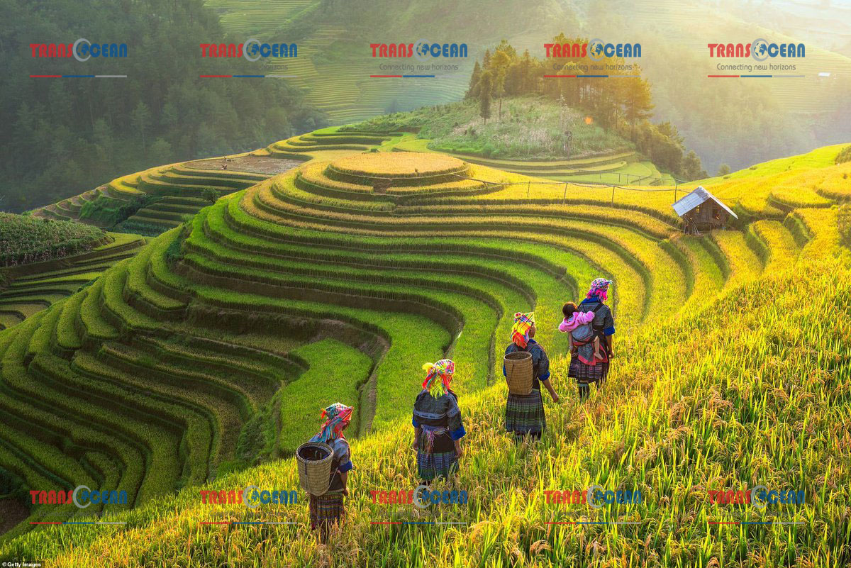TOUR MIỀN BẮC | HÀ NỘI – THỊ TRẤN SAPA 4N3Đ 8