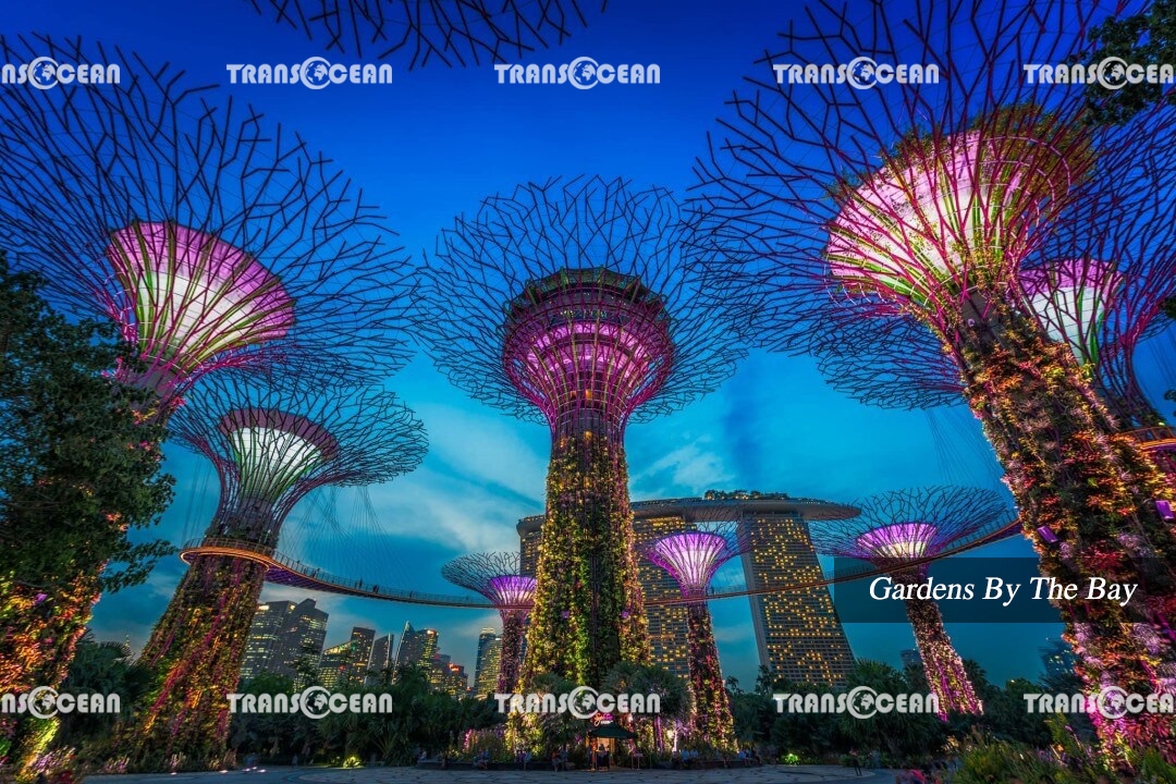 SINGAPORE | THIÊN ĐƯỜNG MUA SẮM 3N2Đ