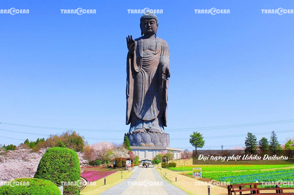 TOUR MÙA HOA ANH ĐÀO NHẬT BẢN | TOKYO – FUJI – YAMANASHI 5N4Đ