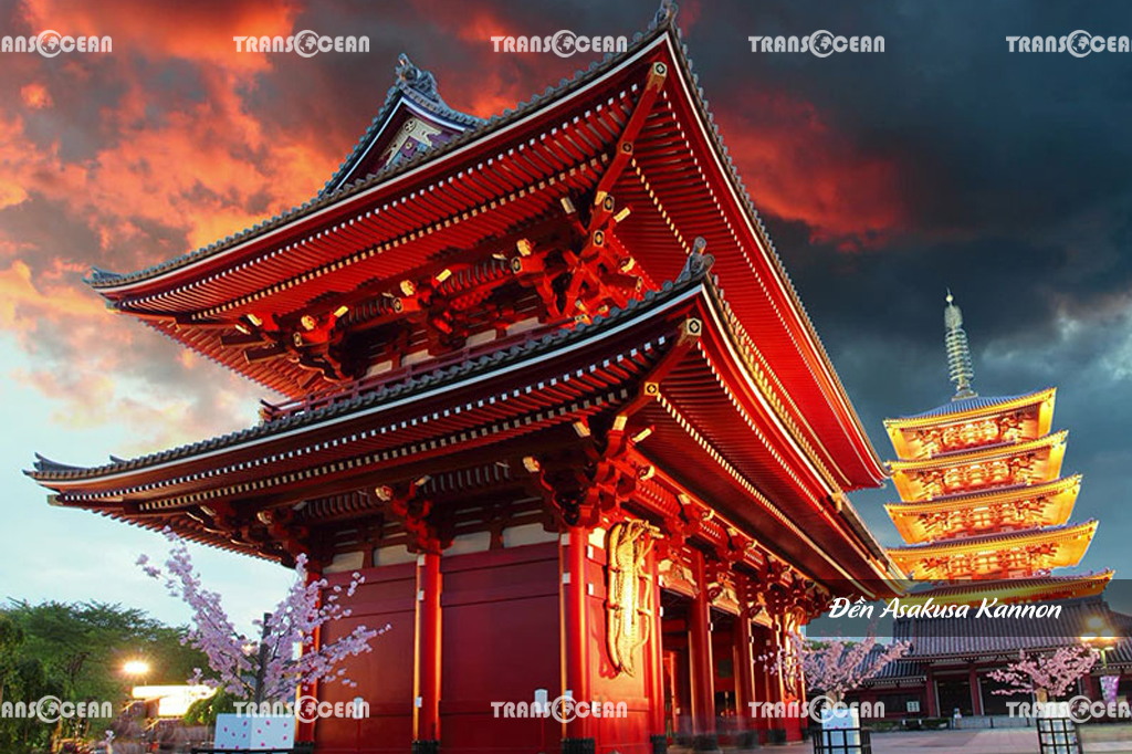 TOUR MÙA HOA ANH ĐÀO NHẬT BẢN | TOKYO – FUJI – YAMANASHI 5N4Đ 2