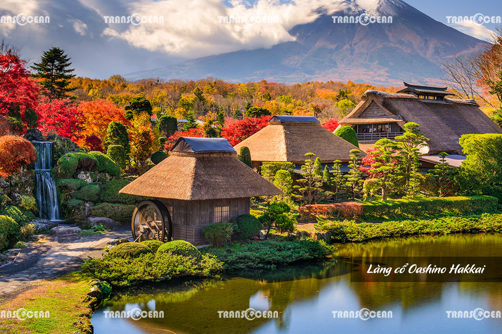 TOUR MÙA HOA ANH ĐÀO NHẬT BẢN | TOKYO – FUJI – YAMANASHI 5N4Đ 4