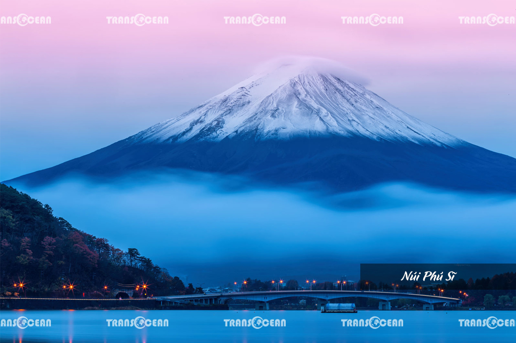 TOUR MÙA HOA ANH ĐÀO NHẬT BẢN | TOKYO – FUJI – YAMANASHI 5N4Đ 5