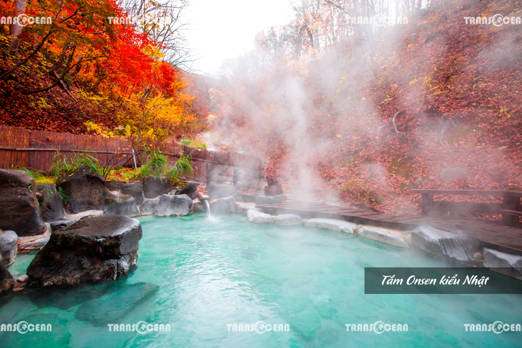 TOUR MÙA HOA ANH ĐÀO NHẬT BẢN | TOKYO – FUJI – YAMANASHI 5N4Đ 6