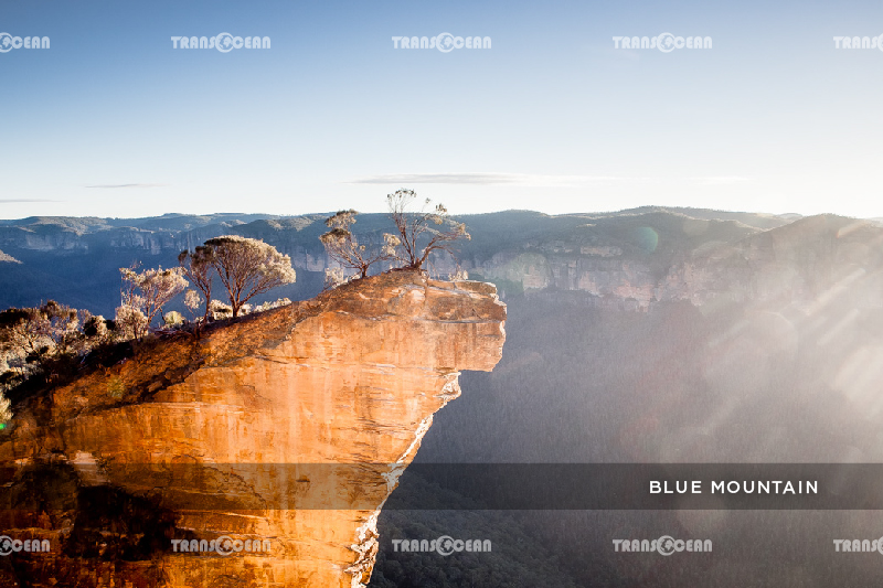 TOUR CHÂU ÚC | MELBOURNE – SYDNEY 2