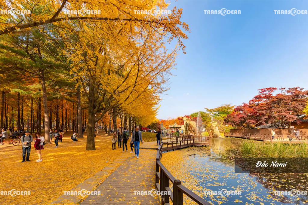 DU LỊCH HÀN QUỐC | SEOUL – NAMI – TRƯỢT TUYẾT – HÁI DÂU 2