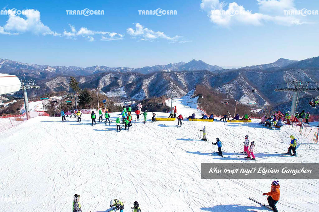 DU LỊCH HÀN QUỐC | SEOUL – NAMI – TRƯỢT TUYẾT – HÁI DÂU 3