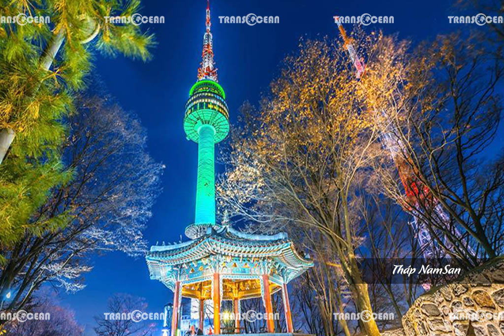 DU LỊCH HÀN QUỐC | SEOUL – NAMI – TRƯỢT TUYẾT – HÁI DÂU 5
