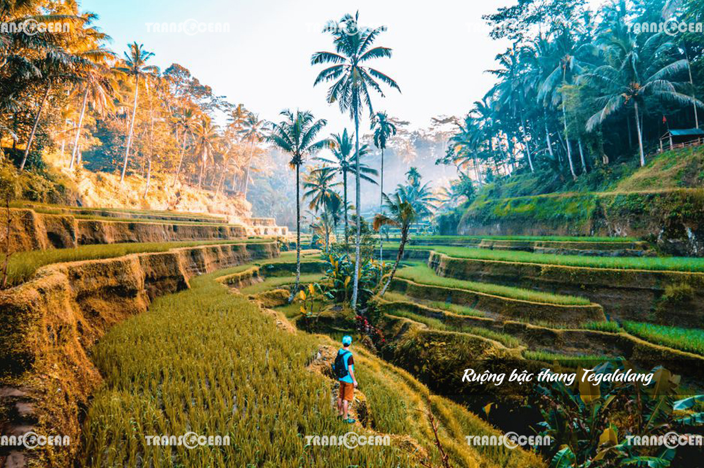 TOUR DU LỊCH BA LI | KHÁM PHÁ ĐẢO THIÊN ĐƯỜNG 4