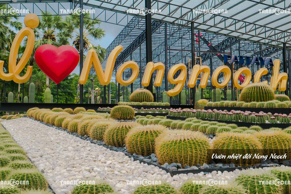 TOUR THÁI LAN | BANGKOK – PATTAYA | 5 NGÀY 4 ĐÊM 6